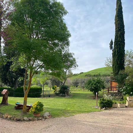 Casa Vacanze Podere San Giusto 渥尔特拉 外观 照片