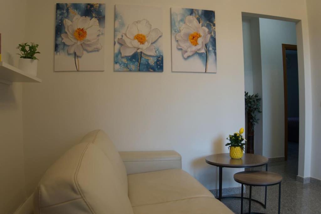 Casa Vacanze Podere San Giusto 渥尔特拉 外观 照片