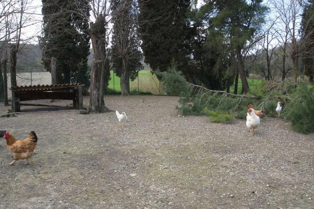 Casa Vacanze Podere San Giusto 渥尔特拉 外观 照片