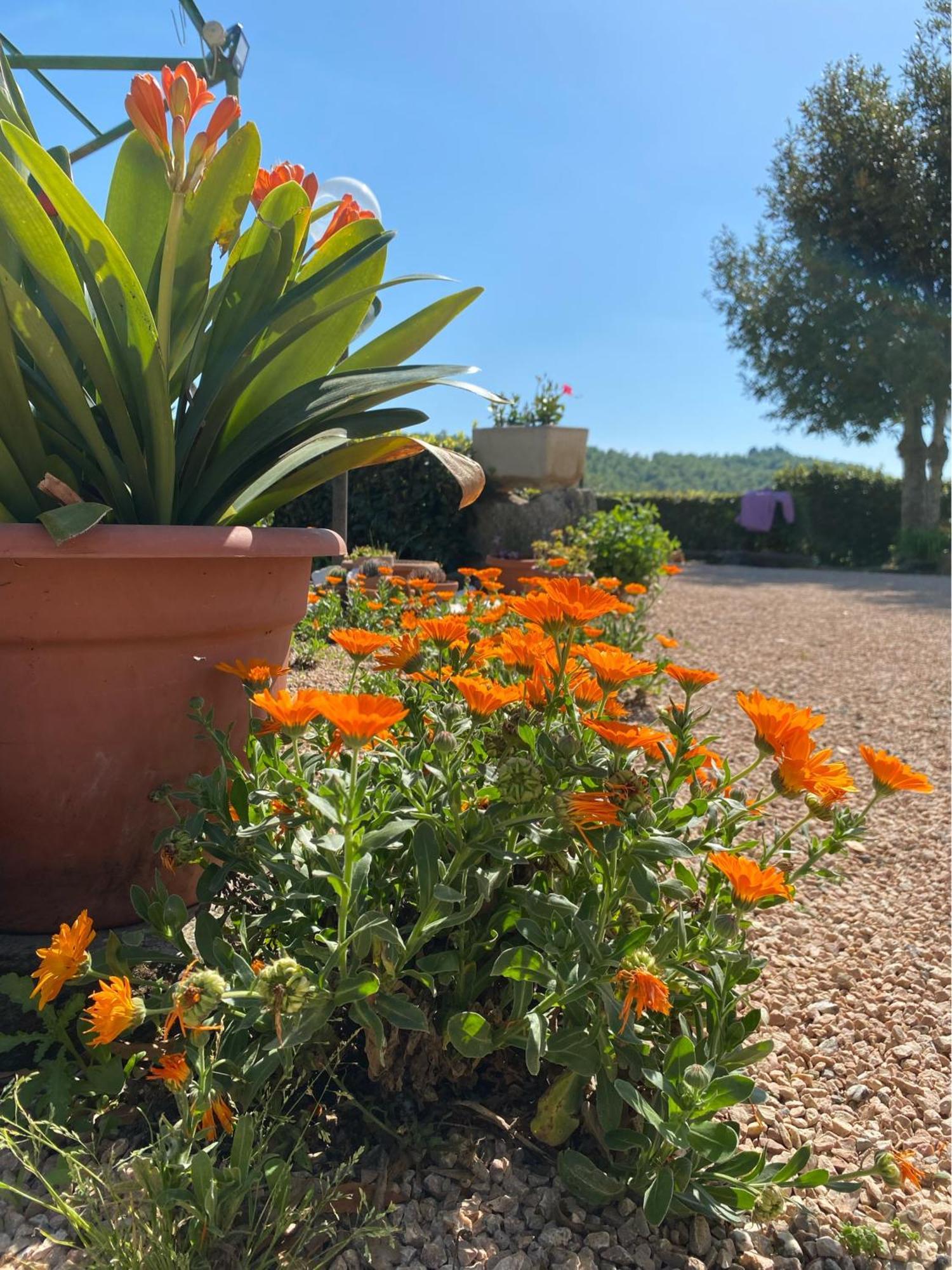 Casa Vacanze Podere San Giusto 渥尔特拉 外观 照片