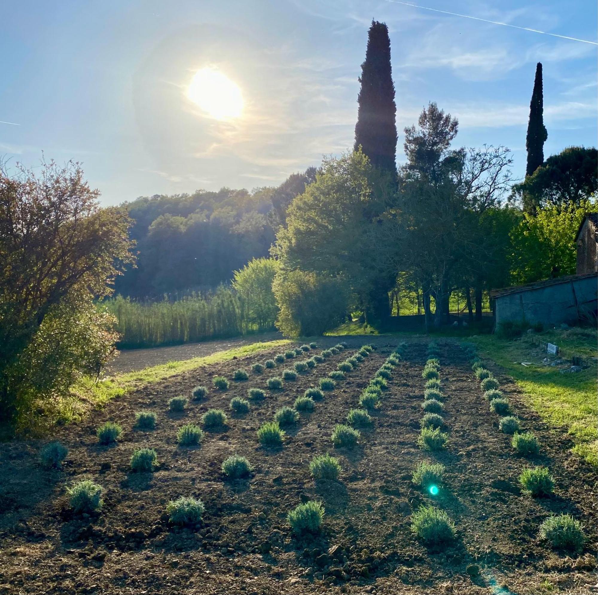 Casa Vacanze Podere San Giusto 渥尔特拉 外观 照片