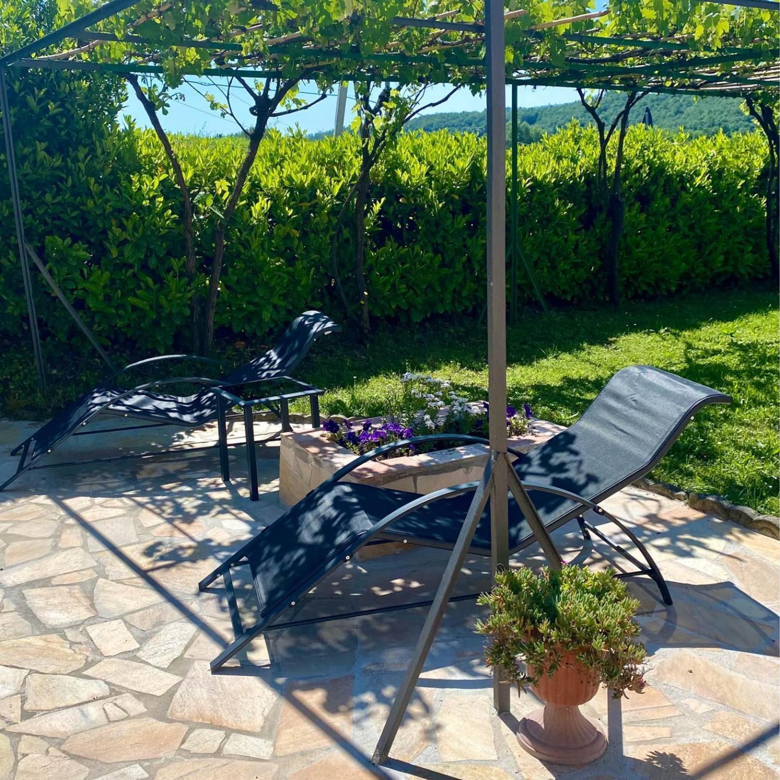 Casa Vacanze Podere San Giusto 渥尔特拉 外观 照片