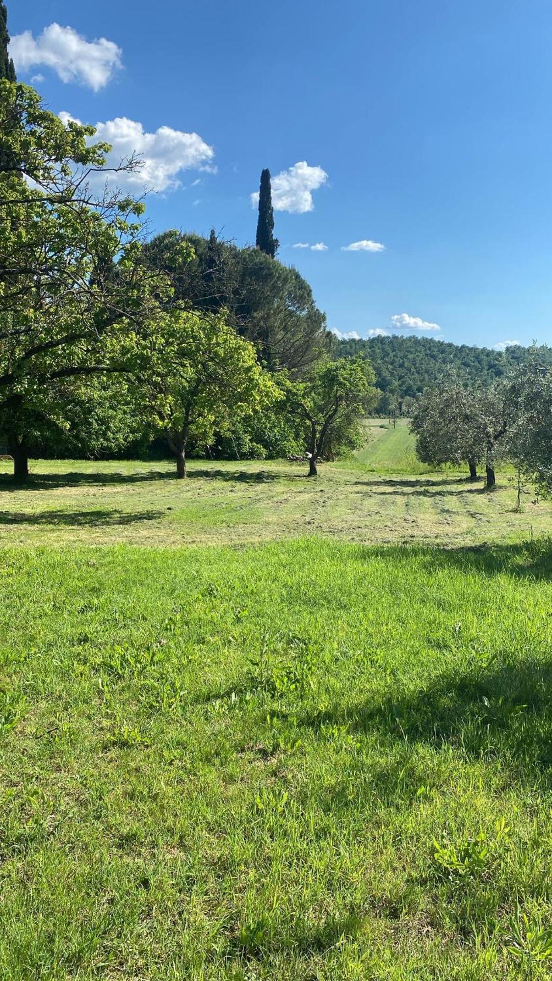 Casa Vacanze Podere San Giusto 渥尔特拉 外观 照片