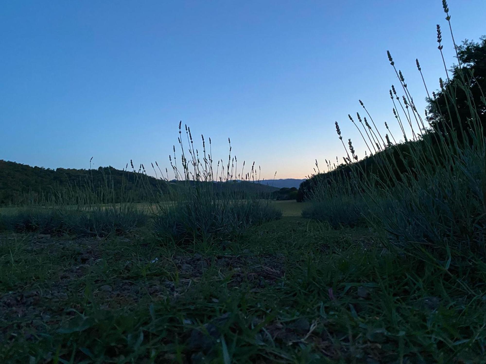 Casa Vacanze Podere San Giusto 渥尔特拉 外观 照片