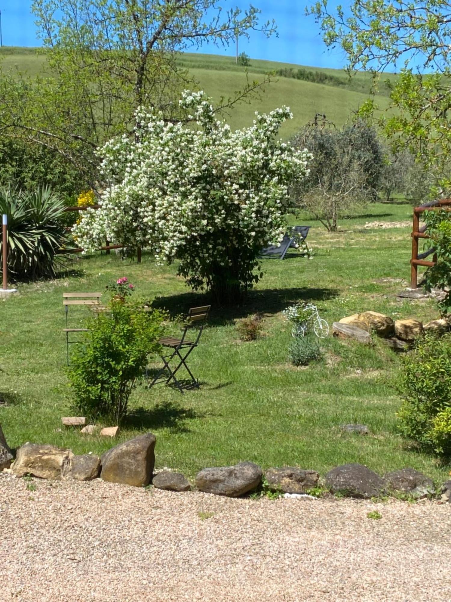 Casa Vacanze Podere San Giusto 渥尔特拉 外观 照片